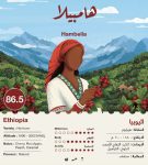جبلة - اثيوبيا هامبيلا مجففة 250 جرام