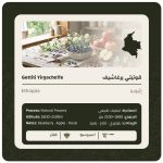 ليمو - اثيوبيا قوتيتي يرغاشيف مجففة 250 جرام